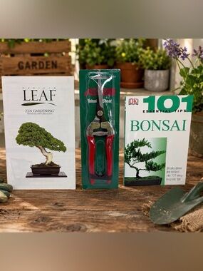 Astron Bonsai Shears DK 101 Essential Tips Bonsai Eastern Leaf  Gardening Lot